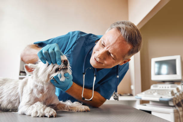 Best Emergency Tooth Extraction in Nesquehoning, PA